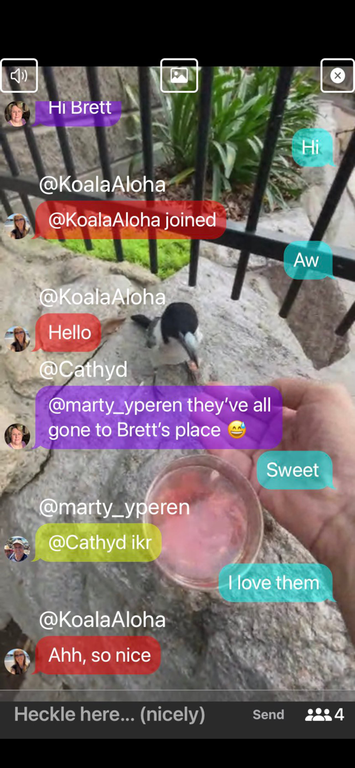 Heckle Live Streaming