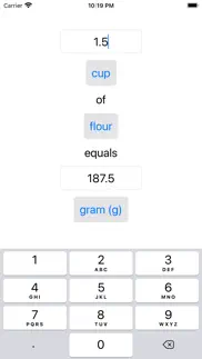 baking converter iphone screenshot 4
