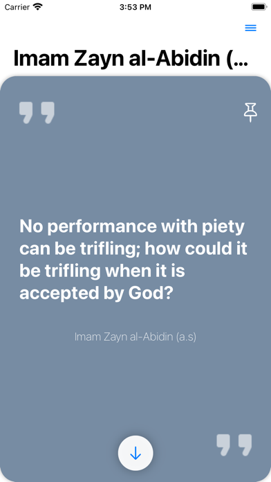 Imam Zayn al-Abidin (a.s) Screenshot