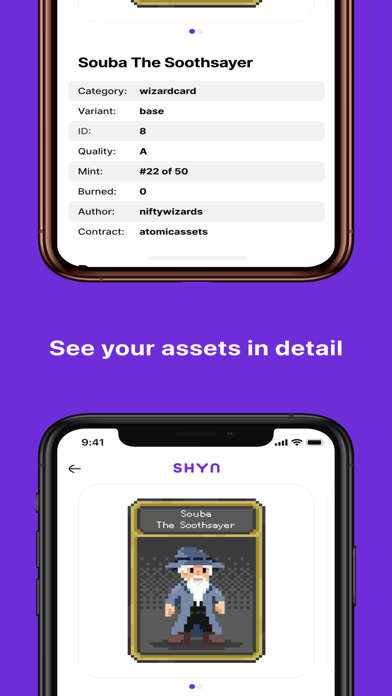 Shyn - NFT Portfolio Screenshot