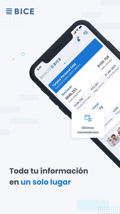 Banco BICE Screenshot