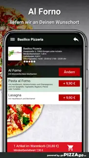 basilico pizzeria eningen unte problems & solutions and troubleshooting guide - 2