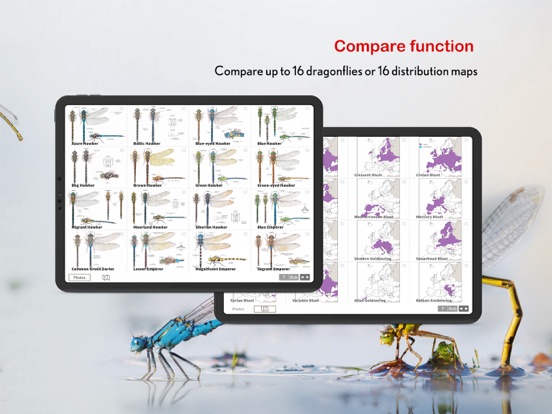 Dragonfly Id Britain & Europe iPad app afbeelding 7