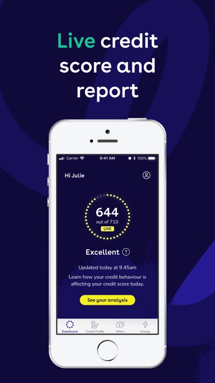 TotallyMoney - Credit Report