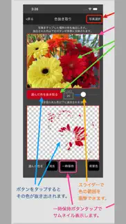 イロヌキ iphone screenshot 2