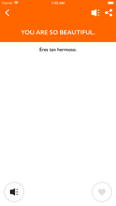 Speak Spanish ® Screenshot