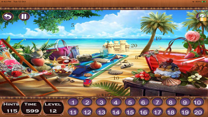 Hidden Numbers 4 in 1 Game