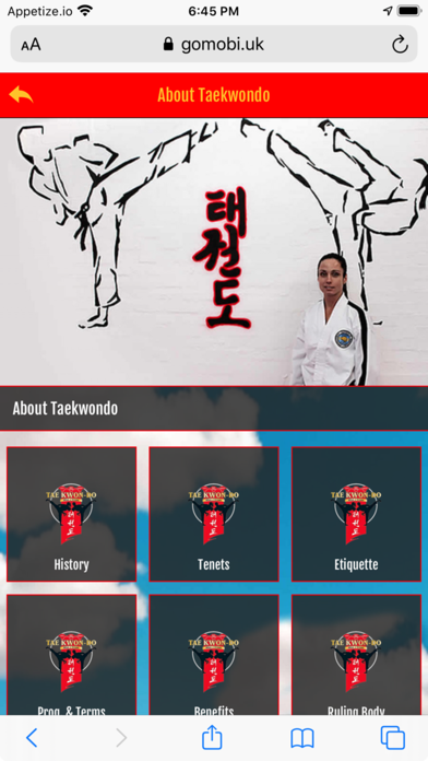 SQ Tae Kwon-do Screenshot