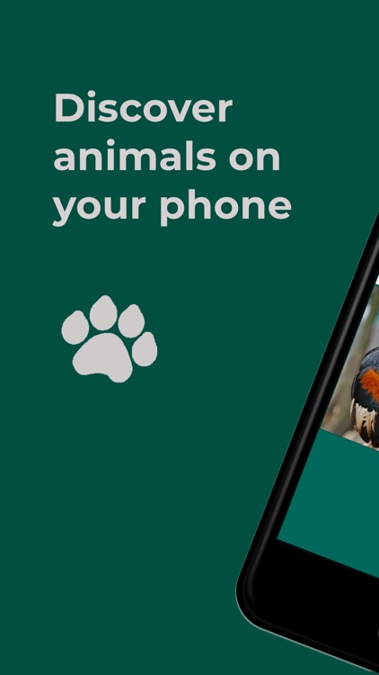 My Digital Zoo - Picture book