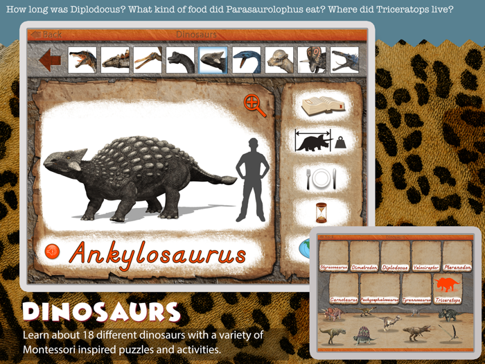 Montessori Science - School Ed