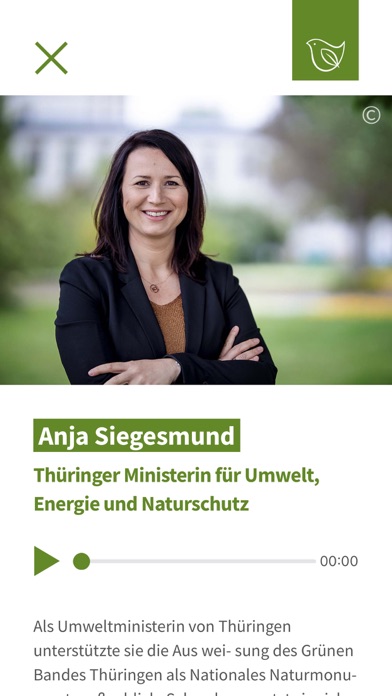 grünebandbreite Screenshot