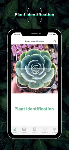 Game screenshot Identify Plant : Flower & Tree mod apk