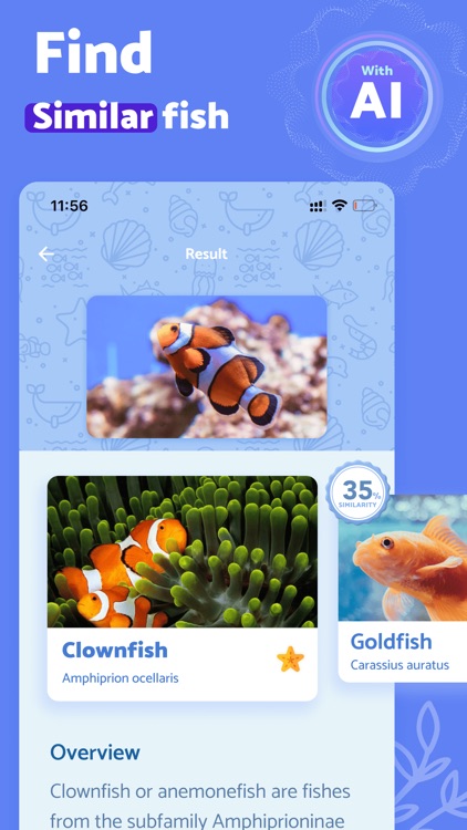FishScan - Fish Identifier