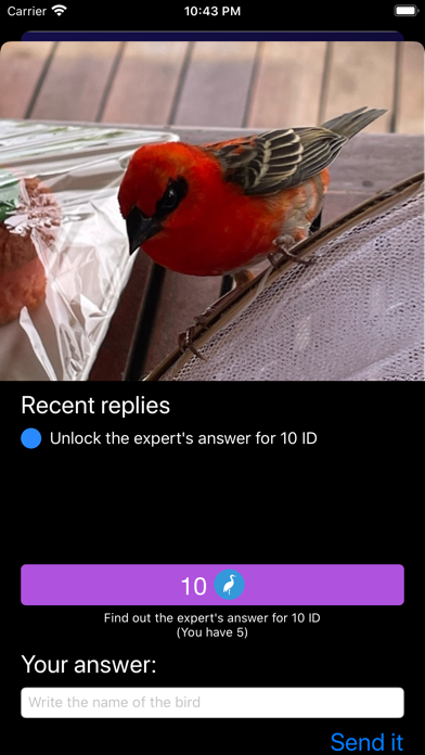 Bird ID - Bird Identification Screenshot