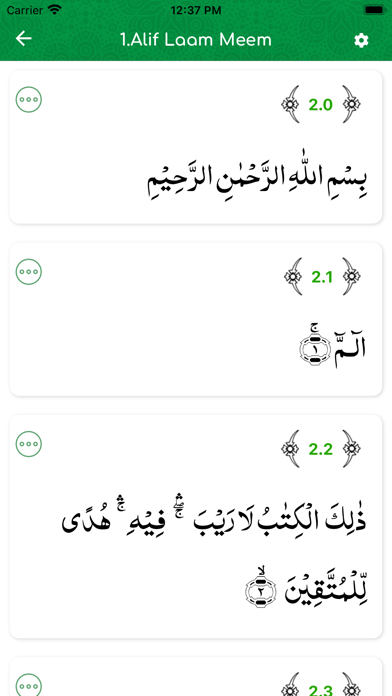 Bayan-ul-Quran Screenshot
