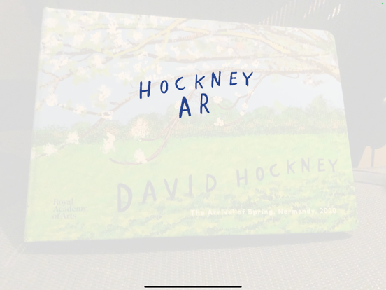 Hockney AR iPad screenshot 1 - Graphics & Design app