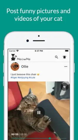 Game screenshot MeowMe - Cat Social Network hack