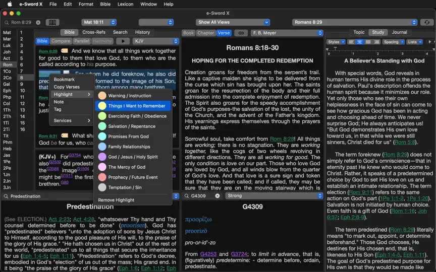 E-Sword X: Bible Study Extreme iPhone-skjermbilde 1
