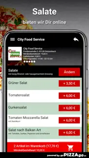 city food service dietzenbach problems & solutions and troubleshooting guide - 4