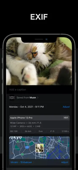 Game screenshot Muon - Simple Camera hack