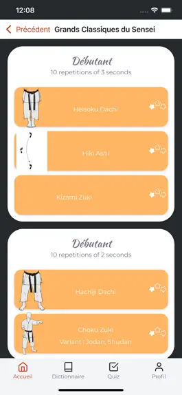 Game screenshot Shotokan PocketSensei apk