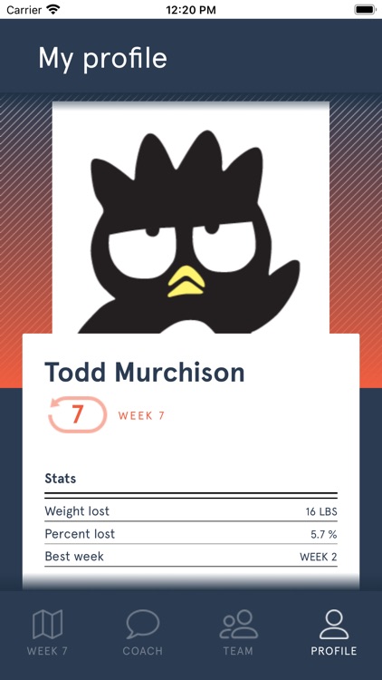 Team Rewind screenshot-4