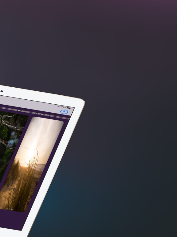Forbidden Forrest iPad screenshot 5 - Music app