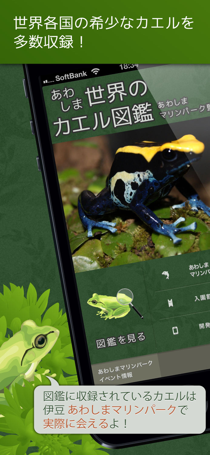 あわしま世界のカエル図鑑