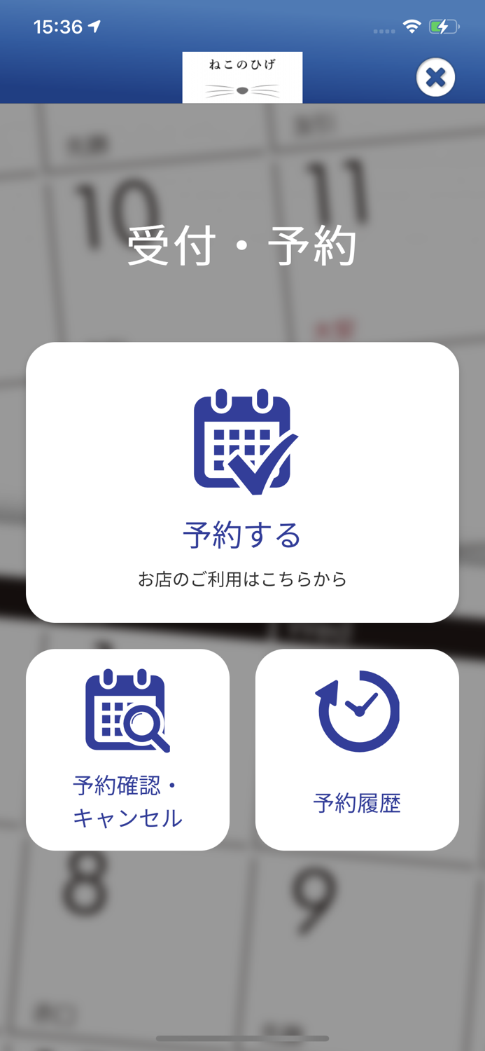 美容鍼 エステ ねこのひげ