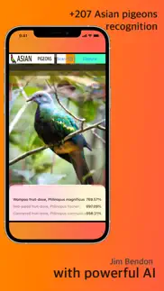 asian pigeon scan identifier iphone screenshot 2