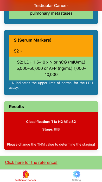 Testicular Cancer Staging Screenshot