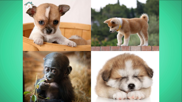 Baby what shouldn’t be here