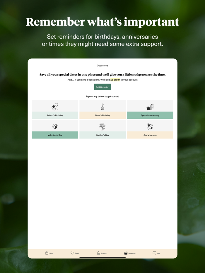 Bloom and Wild - Flowers and Gifts