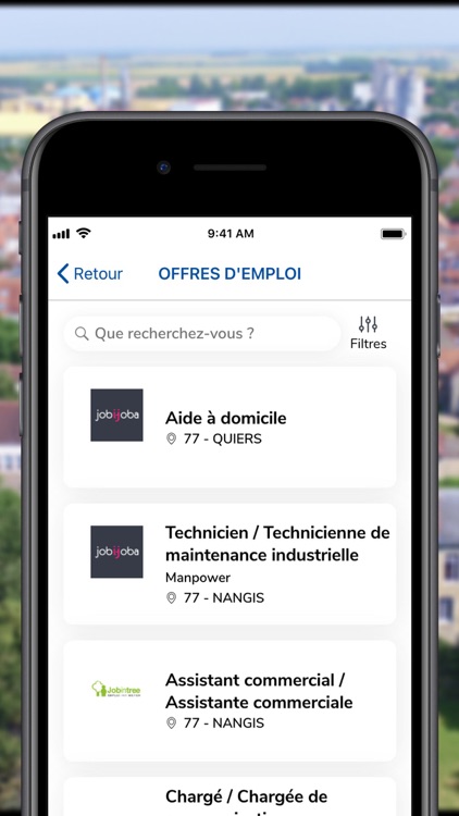 Ville de Nangis - 77