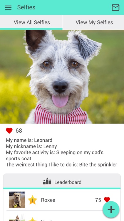 Just 4 Pets Wellness Center screenshot-3