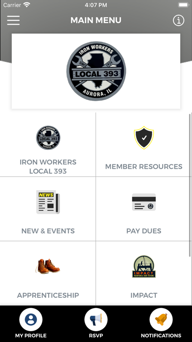 IW 393 Screenshot