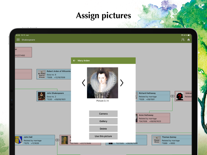 Family Tree Explorer Viewer
