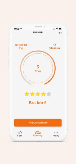 Game screenshot Karlstad Hemtjänst hack