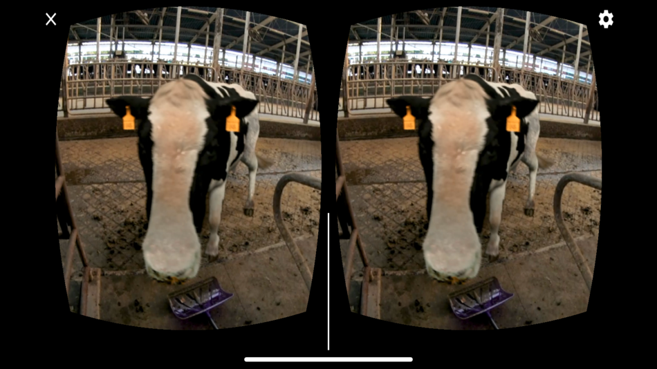 #4. 畜産業VR作業事故体験 (iOS) 由: MINISTRY OF AGRICULTURE, FORESTRY AND FISHERIES
