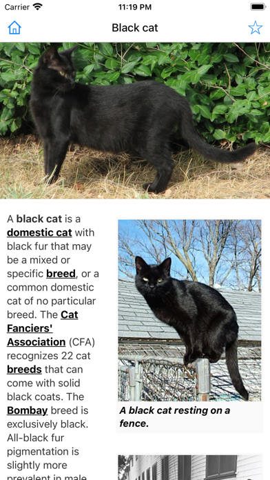 Encyclopedia of Cats Screenshot