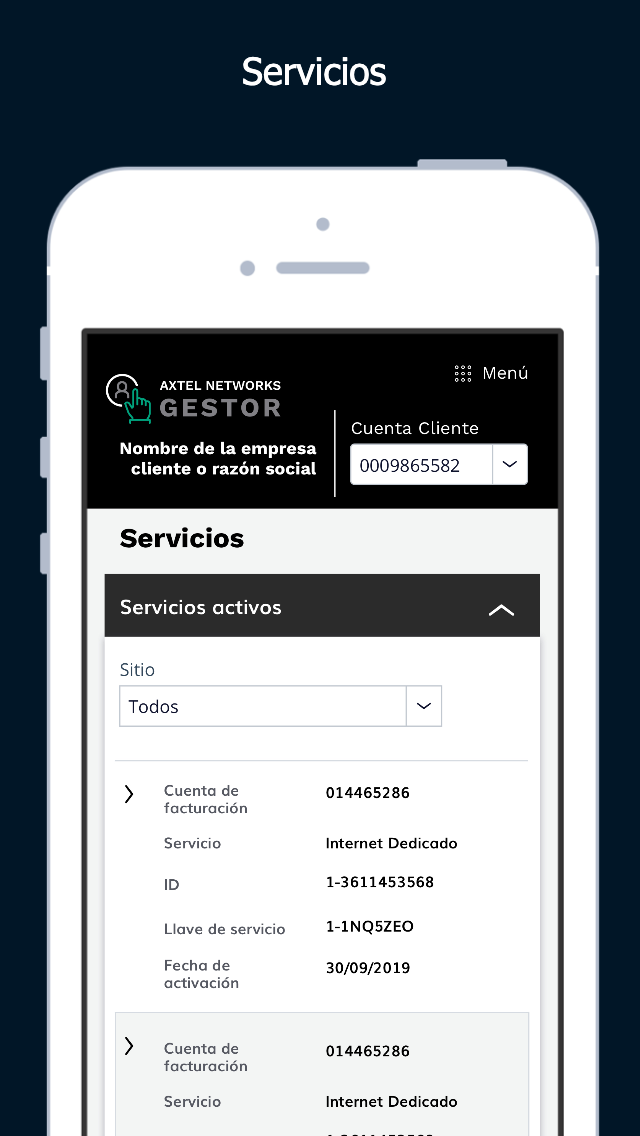 Axtel Networks Gestor