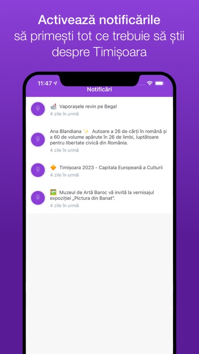 Timișoara City Screenshot