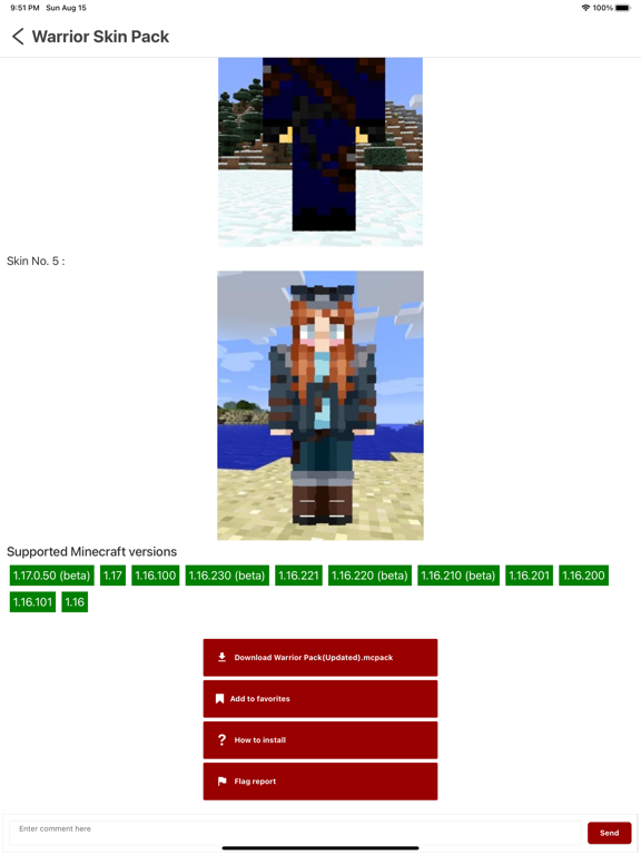 Skin Packs for Minecraft PE