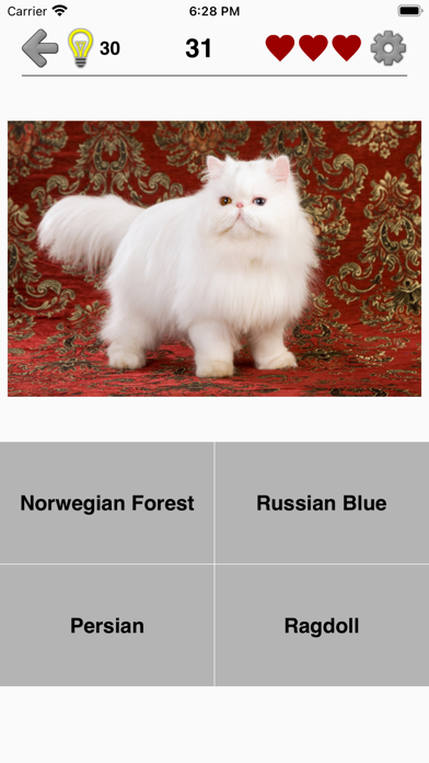 Cats: Photo-Quiz about Kittens Screenshot
