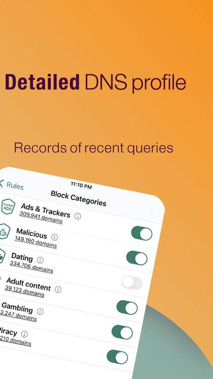 Secure DNS & Firewall screenshot-3