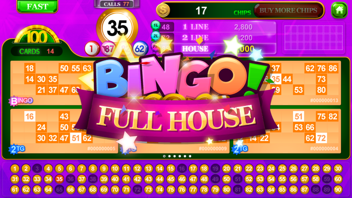 Bingo Solo 90  90 Ball Bingo