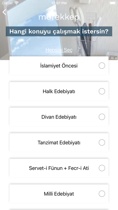 mürekkep: AYT Edebiyat Screenshot