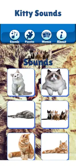 Game screenshot Kitty Cat: Fun Meow Noise Game apk