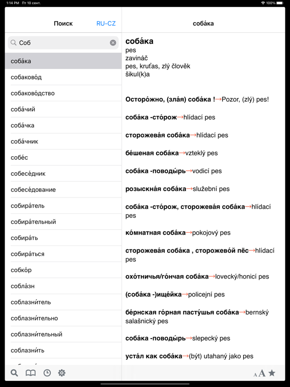 Screenshot #5 pour Чешско-Русский словарь