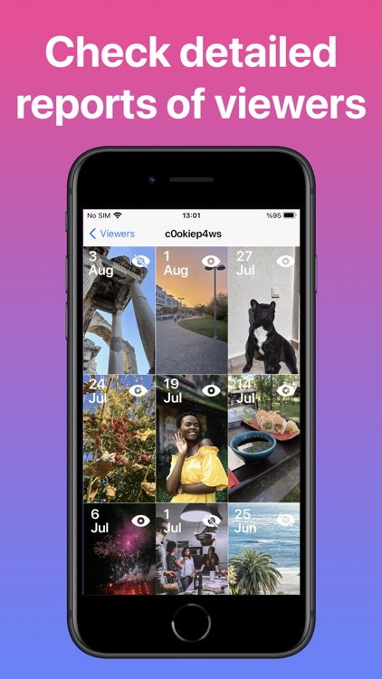Story Archive + for Instagram screenshot-3